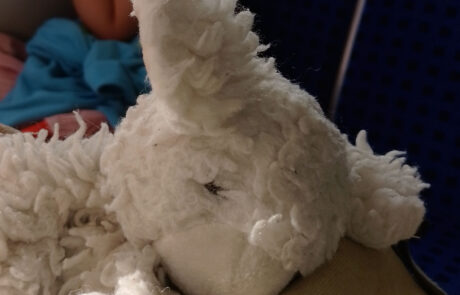 Zeltrüste Relikids 5. Klasse