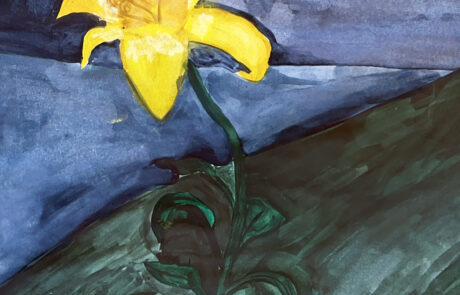 Dein Licht scheint in der Nacht_Mia