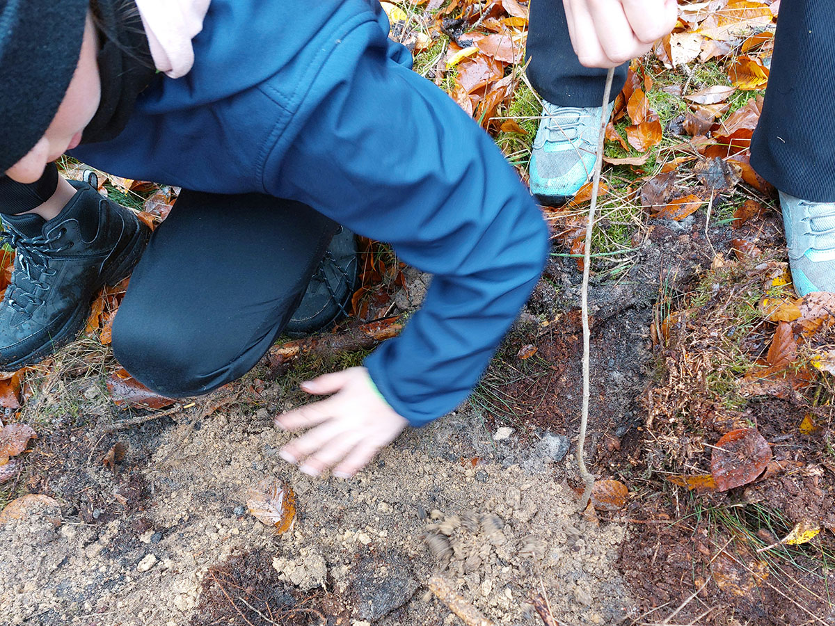 Foto: Reli fürs Klima